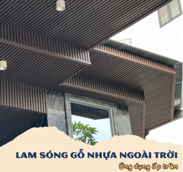 Trang Trí Tấm Ốp Ngoài Trời Đồng Xoài Phước 